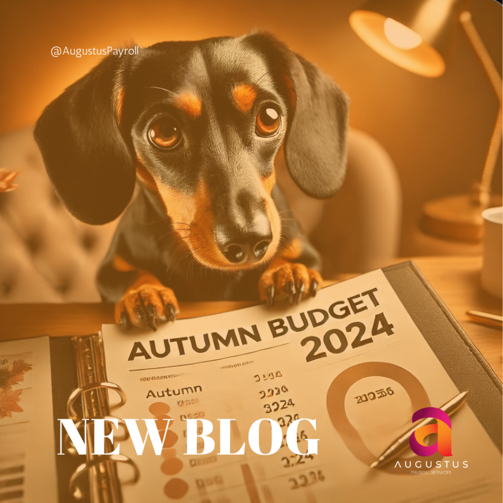 dacshund that is looking at a document that says autumn budget 2024